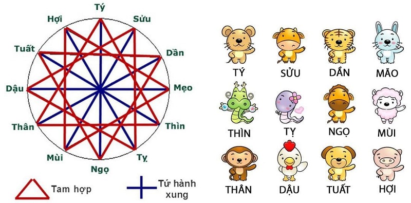 Can chi xung khắc là gì? Con giáp kỵ nhau theo thiên can địa chi 2 Can chi xung khắc